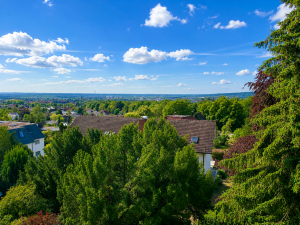 Ausblick