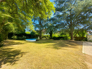 Garten Blick nach Süd-West
